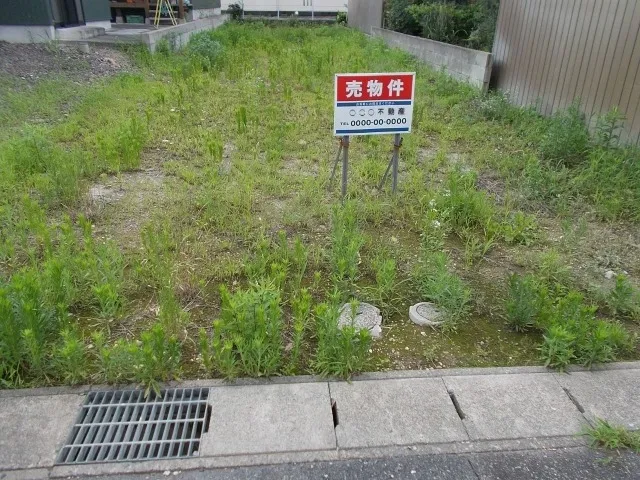 🏡✨空き土地を放置していませんか？税金・管理・活用法をまるっと解説🌳🧾
